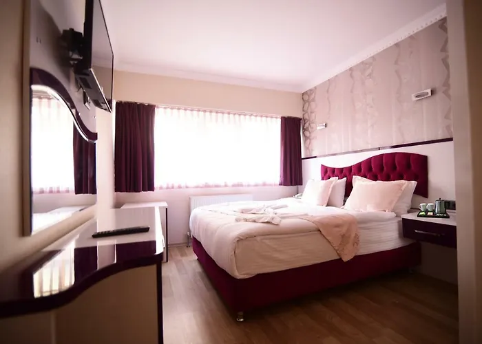 מלון Oezdemir אנקרה