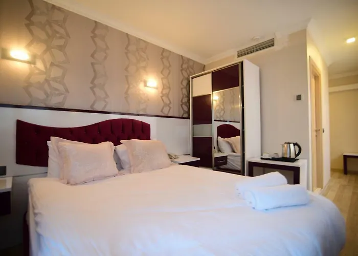 Oezdemir ホテル *