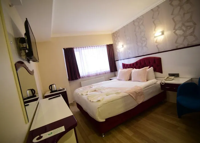 Oezdemir 酒店 安卡拉